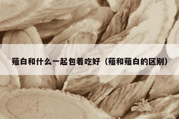 薤白和什么一起包着吃好（薤和薤白的区别）