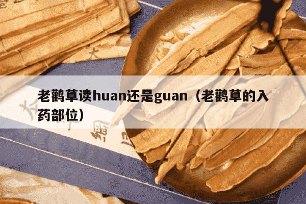 老鹳草读huan还是guan（老鹳草的入药部位）