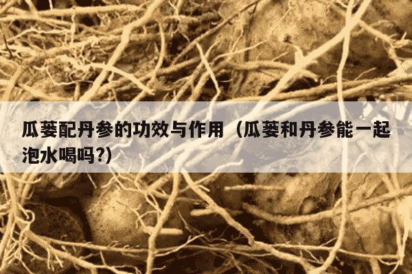 瓜蒌配丹参的功效与作用（瓜蒌和丹参能一起泡水喝吗?）