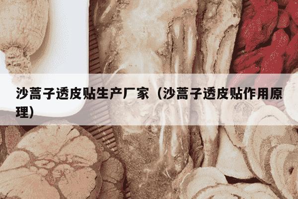 沙蒿子透皮贴生产厂家（沙蒿子透皮贴作用原理）