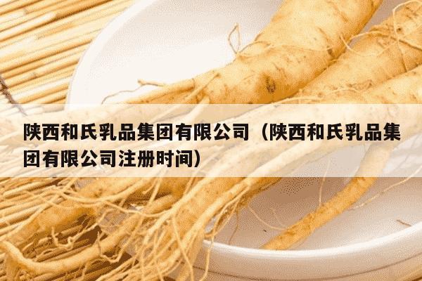 陕西和氏乳品集团有限公司（陕西和氏乳品集团有限公司注册时间）