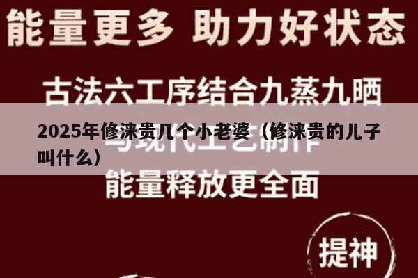 2025年修涞贵几个小老婆（修涞贵的儿子叫什么）