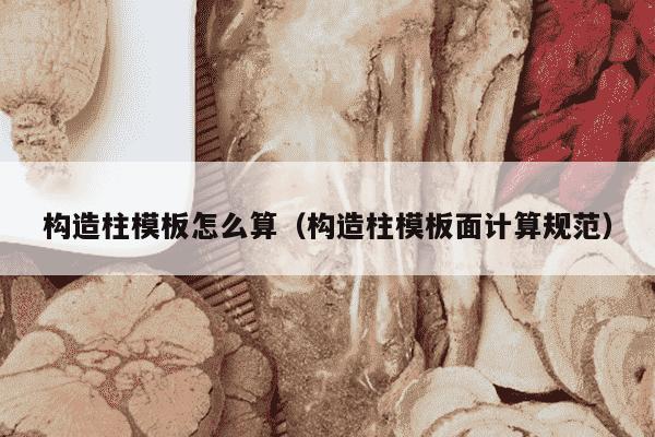 构造柱模板怎么算（构造柱模板面计算规范）