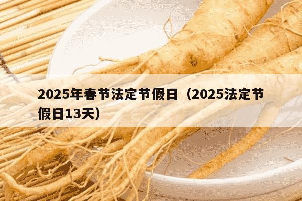 2025年春节法定节假日（2025法定节假日13天）