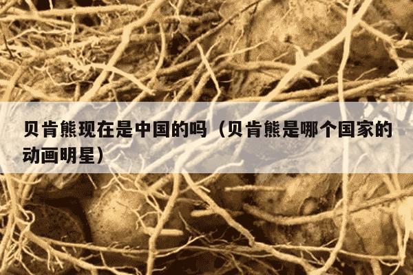 贝肯熊现在是中国的吗（贝肯熊是哪个国家的动画明星）