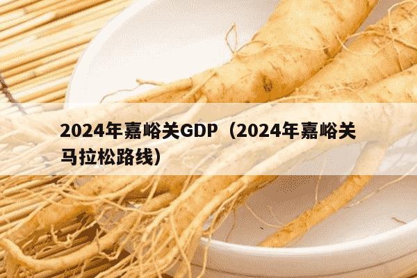 2024年嘉峪关GDP（2024年嘉峪关马拉松路线）