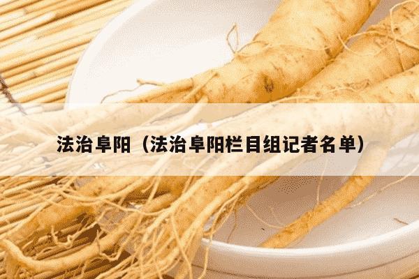 法治阜阳（法治阜阳栏目组记者名单）