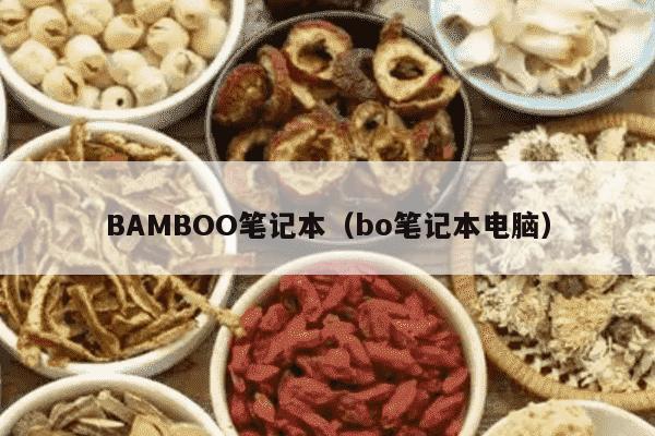 BAMBOO笔记本（bo笔记本电脑）