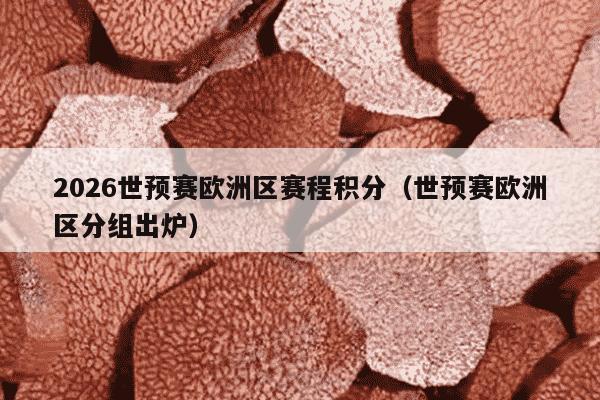 2026世预赛欧洲区赛程积分（世预赛欧洲区分组出炉）