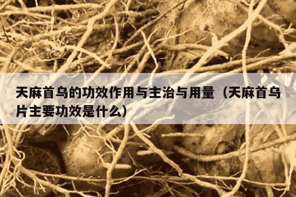 天麻首乌的功效作用与主治与用量（天麻首乌片主要功效是什么）