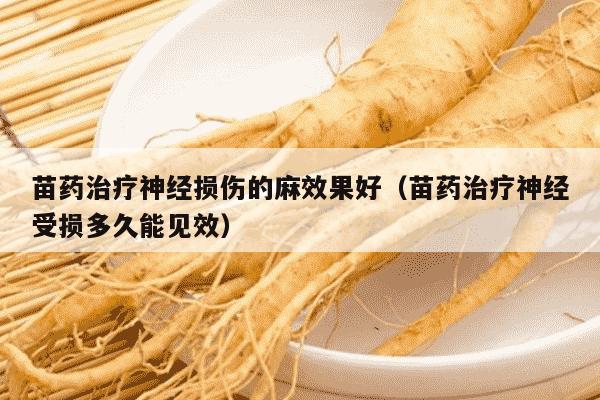 苗药治疗神经损伤的麻效果好（苗药治疗神经受损多久能见效）
