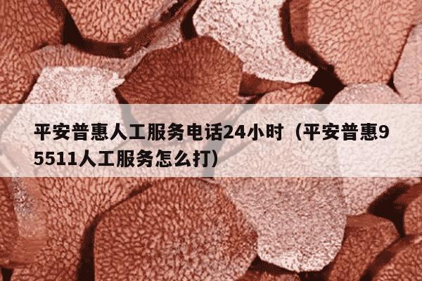 平安普惠人工服务电话24小时（平安普惠95511人工服务怎么打）