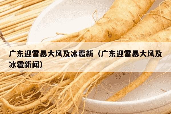 广东迎雷暴大风及冰雹新（广东迎雷暴大风及冰雹新闻）