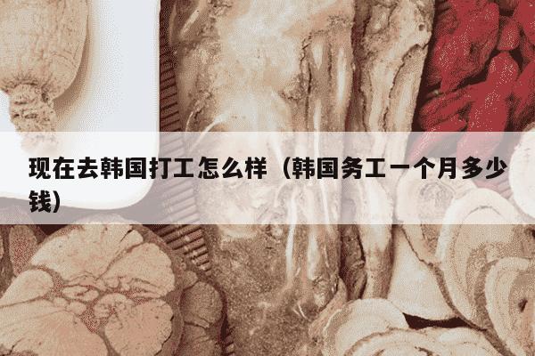 现在去韩国打工怎么样（韩国务工一个月多少钱）