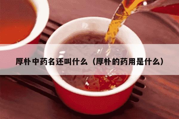 厚朴中药名还叫什么（厚朴的药用是什么）