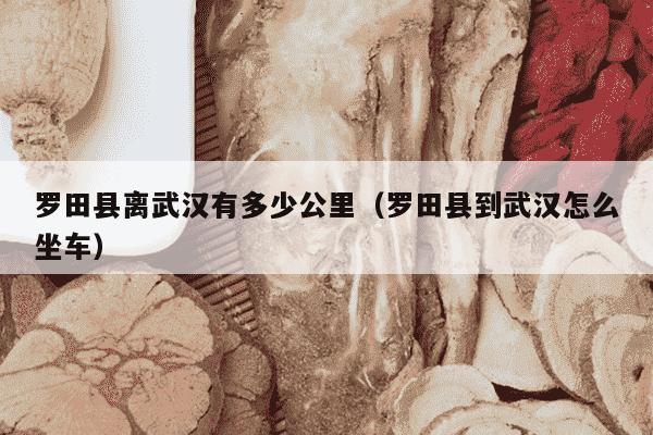 罗田县离武汉有多少公里（罗田县到武汉怎么坐车）