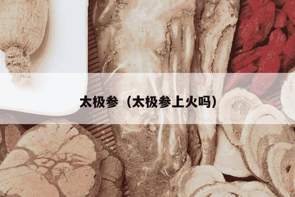 太极参（太极参上火吗）