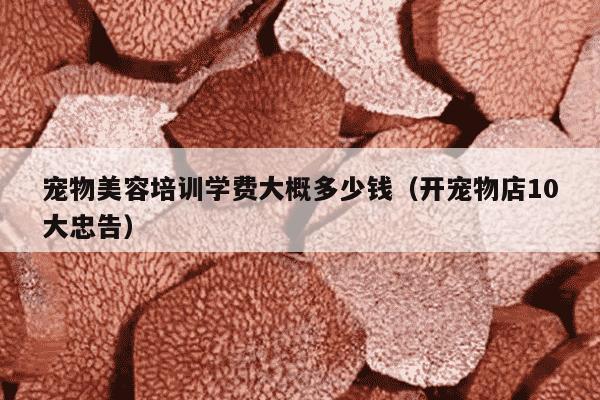 宠物美容培训学费大概多少钱（开宠物店10大忠告）