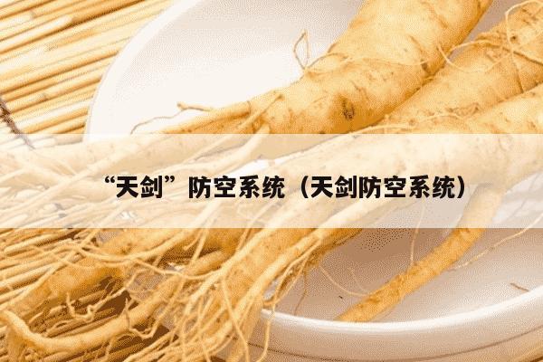 “天剑”防空系统（天剑防空系统）