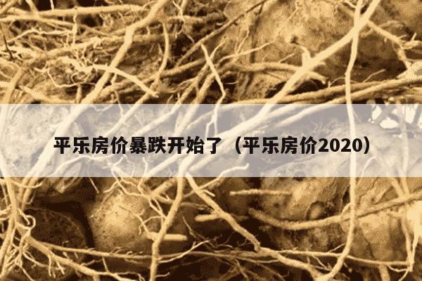 平乐房价暴跌开始了（平乐房价2020）