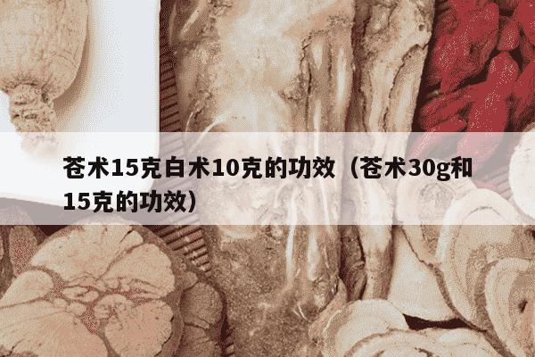 苍术15克白术10克的功效（苍术30g和15克的功效）