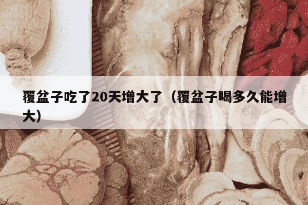 覆盆子吃了20天增大了（覆盆子喝多久能增大）