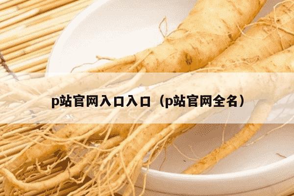 p站官网入口入口（p站官网全名）