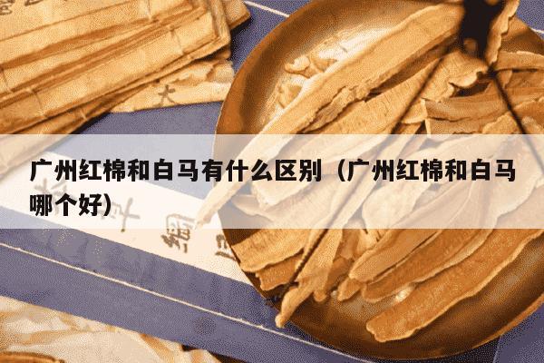 广州红棉和白马有什么区别（广州红棉和白马哪个好）
