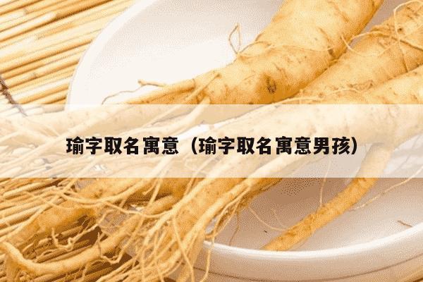 瑜字取名寓意（瑜字取名寓意男孩）