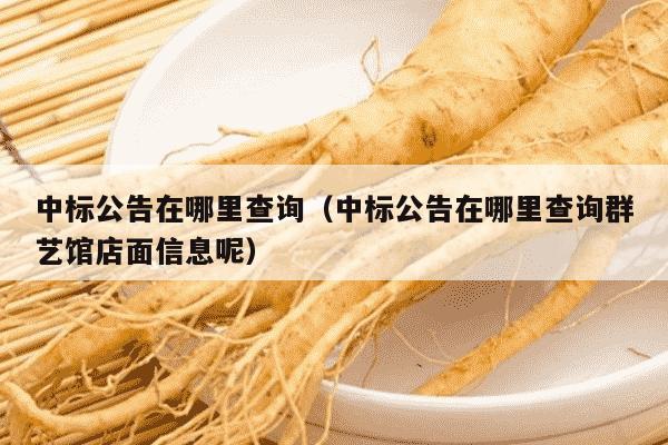 中标公告在哪里查询（中标公告在哪里查询群艺馆店面信息呢）