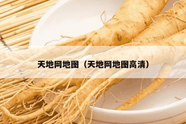 天地网地图（天地网地图高清）