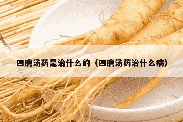 四磨汤药是治什么的（四磨汤药治什么病）