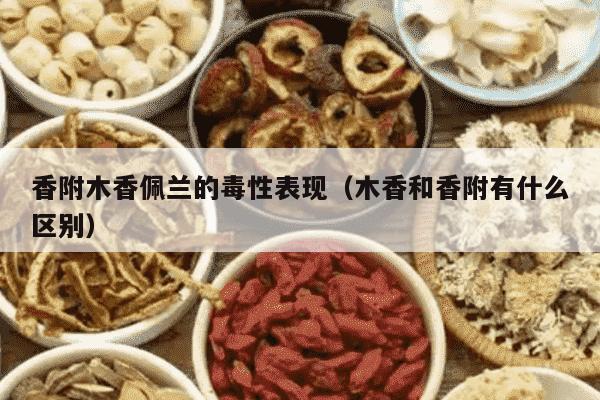 香附木香佩兰的毒性表现（木香和香附有什么区别）
