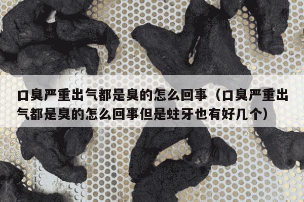 口臭严重出气都是臭的怎么回事（口臭严重出气都是臭的怎么回事但是蛀牙也有好几个）