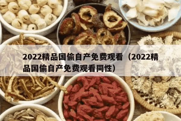 2022精品国偷自产免费观看（2022精品国偷自产免费观看同性）