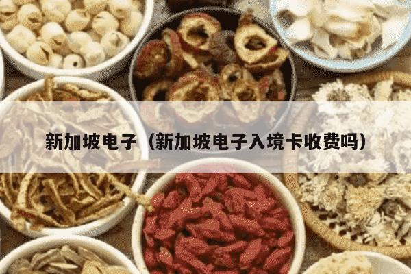 新加坡电子（新加坡电子入境卡收费吗）