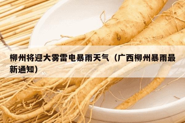 柳州将迎大雾雷电暴雨天气（广西柳州暴雨最新通知）