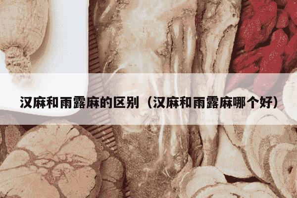 汉麻和雨露麻的区别（汉麻和雨露麻哪个好）
