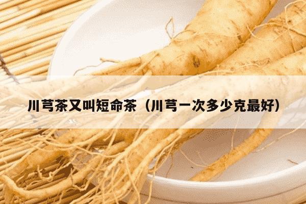 川芎茶又叫短命茶（川芎一次多少克最好）