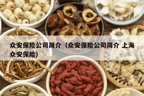 众安保险公司简介（众安保险公司简介 上海众安保险）