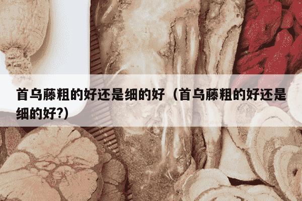 首乌藤粗的好还是细的好（首乌藤粗的好还是细的好?）
