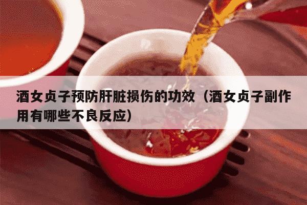 酒女贞子预防肝脏损伤的功效（酒女贞子副作用有哪些不良反应）