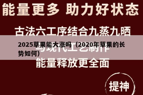 2025草果能大涨吗（2020年草果的长势如何）
