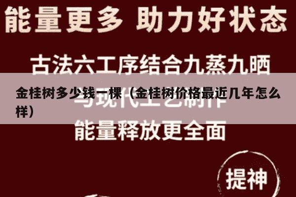 金桂树多少钱一棵（金桂树价格最近几年怎么样）