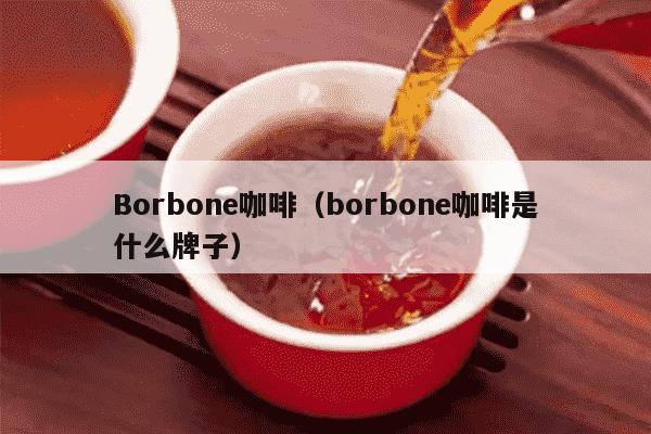 Borbone咖啡（borbone咖啡是什么牌子）