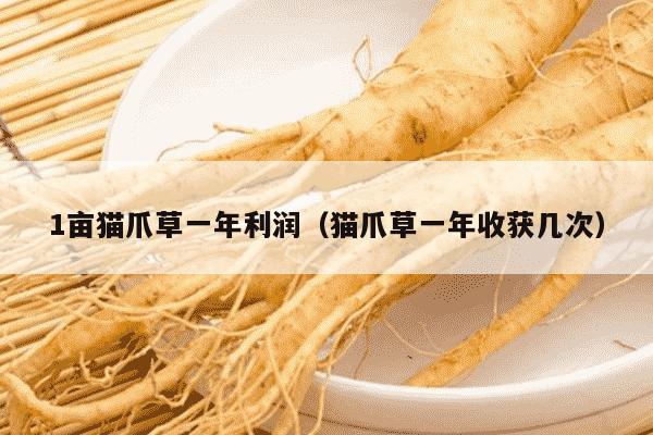 1亩猫爪草一年利润（猫爪草一年收获几次）