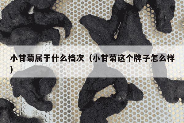 小甘菊属于什么档次（小甘菊这个牌子怎么样）
