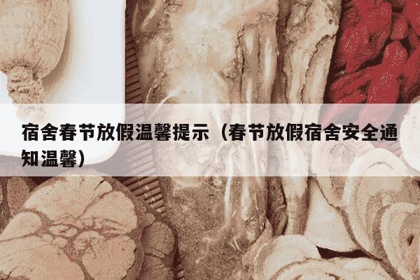 宿舍春节放假温馨提示（春节放假宿舍安全通知温馨）