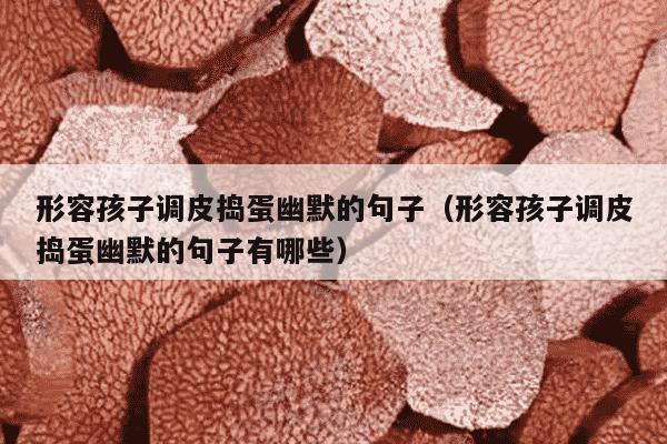 形容孩子调皮捣蛋幽默的句子（形容孩子调皮捣蛋幽默的句子有哪些）