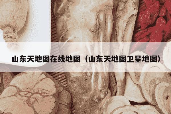 山东天地图在线地图（山东天地图卫星地图）